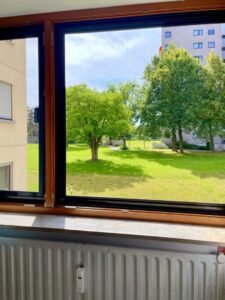 Ausblick