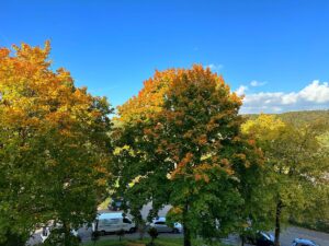Ausblick
