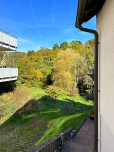 Ausblick