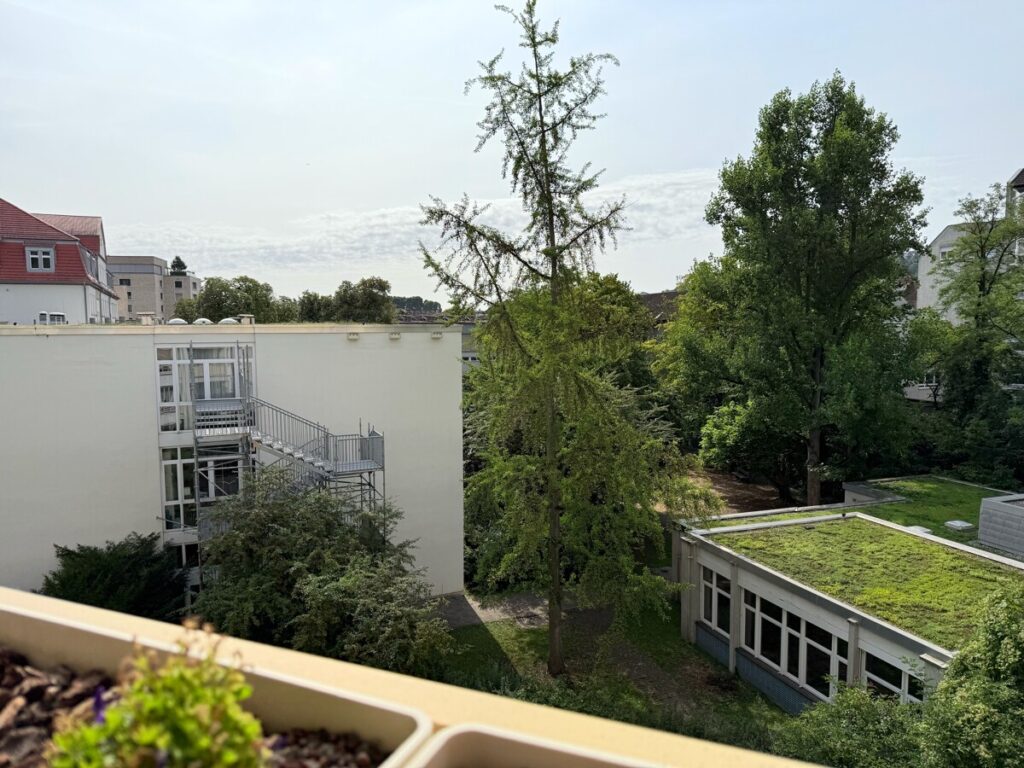 Blick ins Grüne