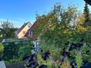 Ausblick