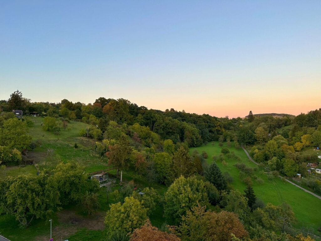 Ausblick in die Natur