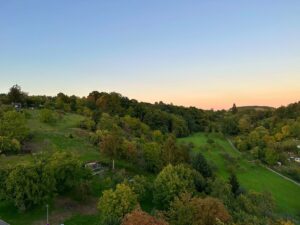 Ausblick in die Natur