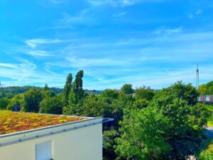 Ausblick