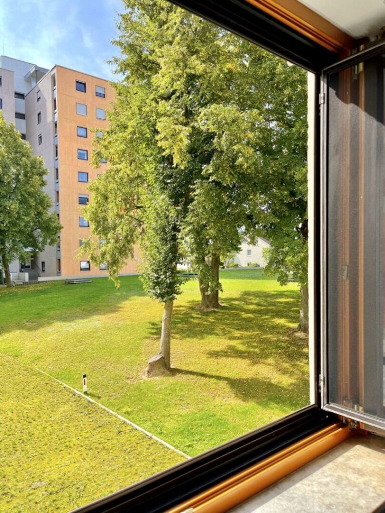 Ausblick