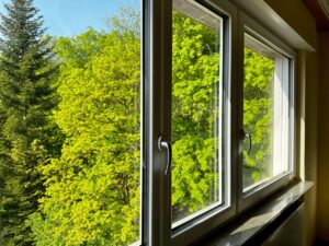 Fenster im Wohnzimmer