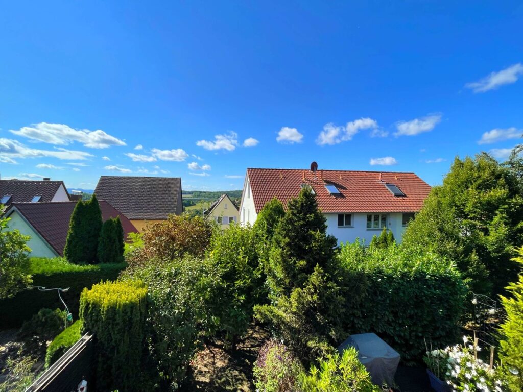 Ausblick