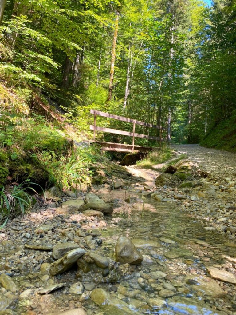 Abstieg Richtung Buchenegger Wasserfall