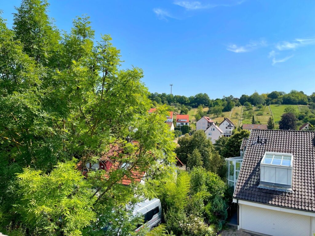 Ausblick ins Grüne