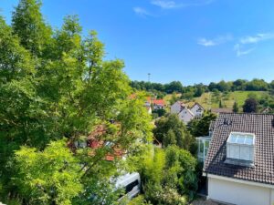 Ausblick ins Grüne