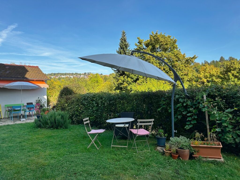 Gemeinschaftsgarten (2)