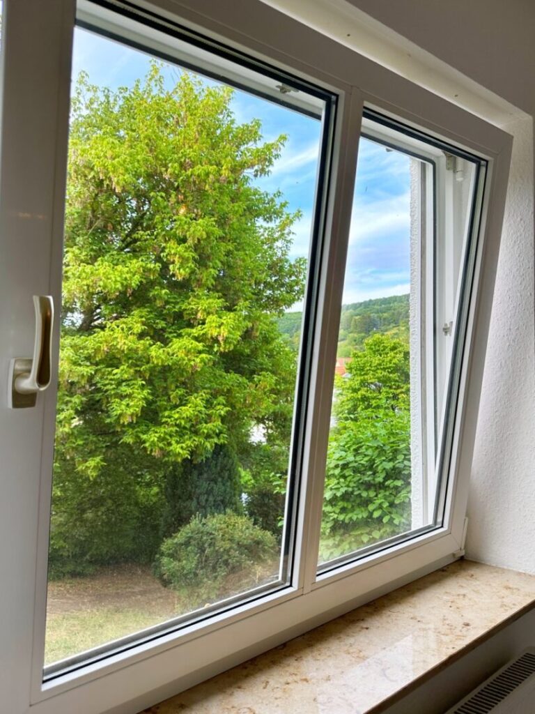 Blick ins Grüne