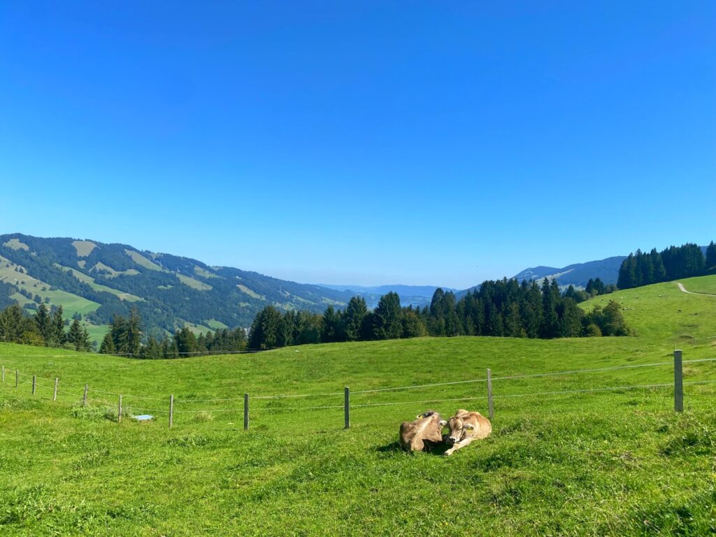 Aufstieg zum Hündlekopf (2)