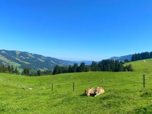 Aufstieg zum Hündlekopf (2)