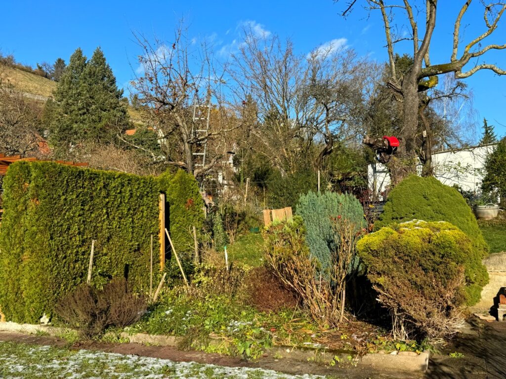 Garten