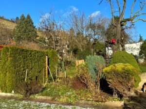 Garten