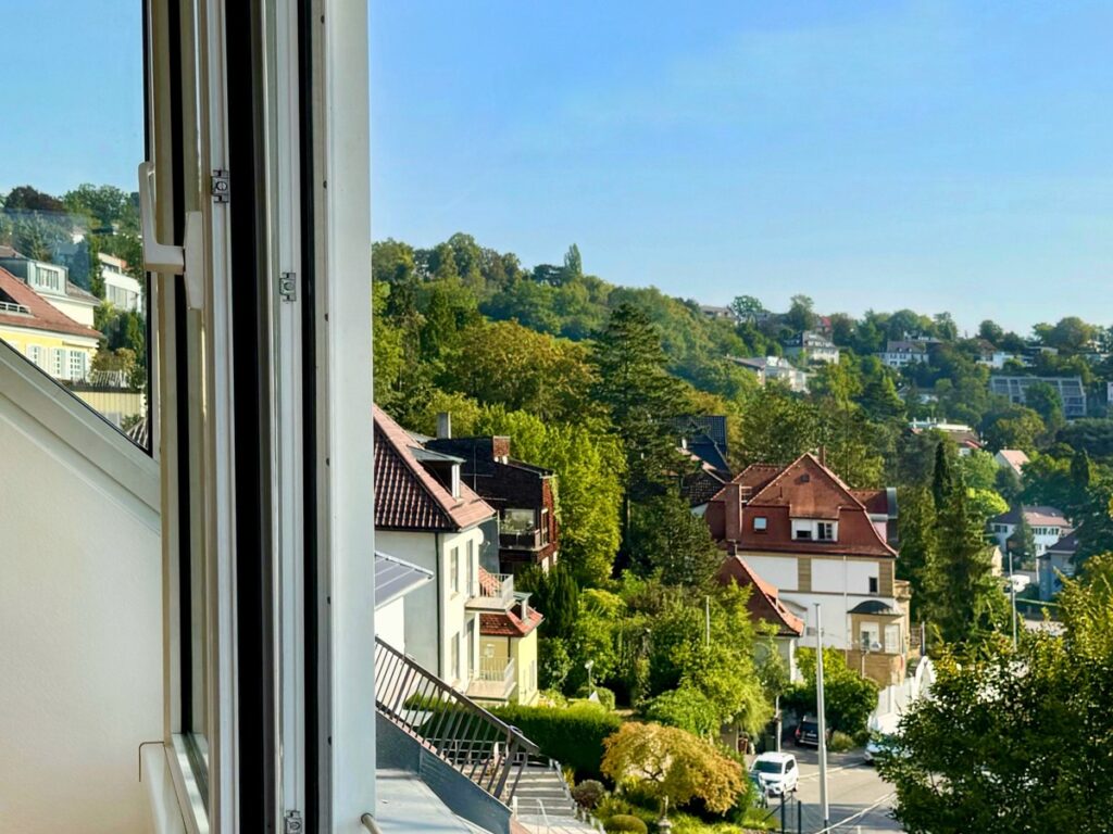 OG Ausblick