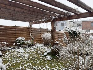 Gartenbereich