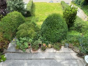 Blick vom Balkon in den Garten