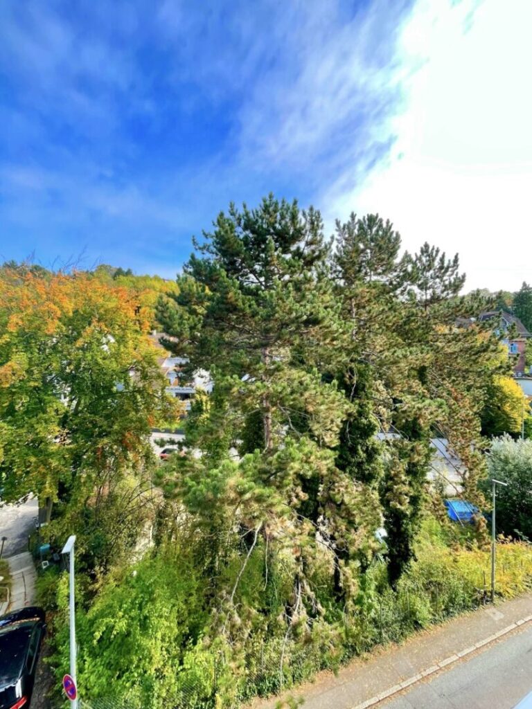 Aussicht