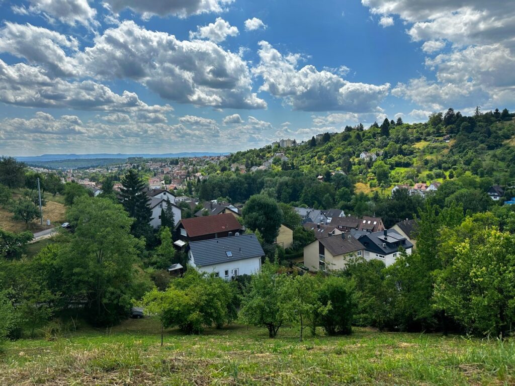 Aussicht von der Obstwiese