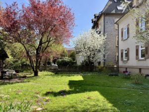 sonniger Garten