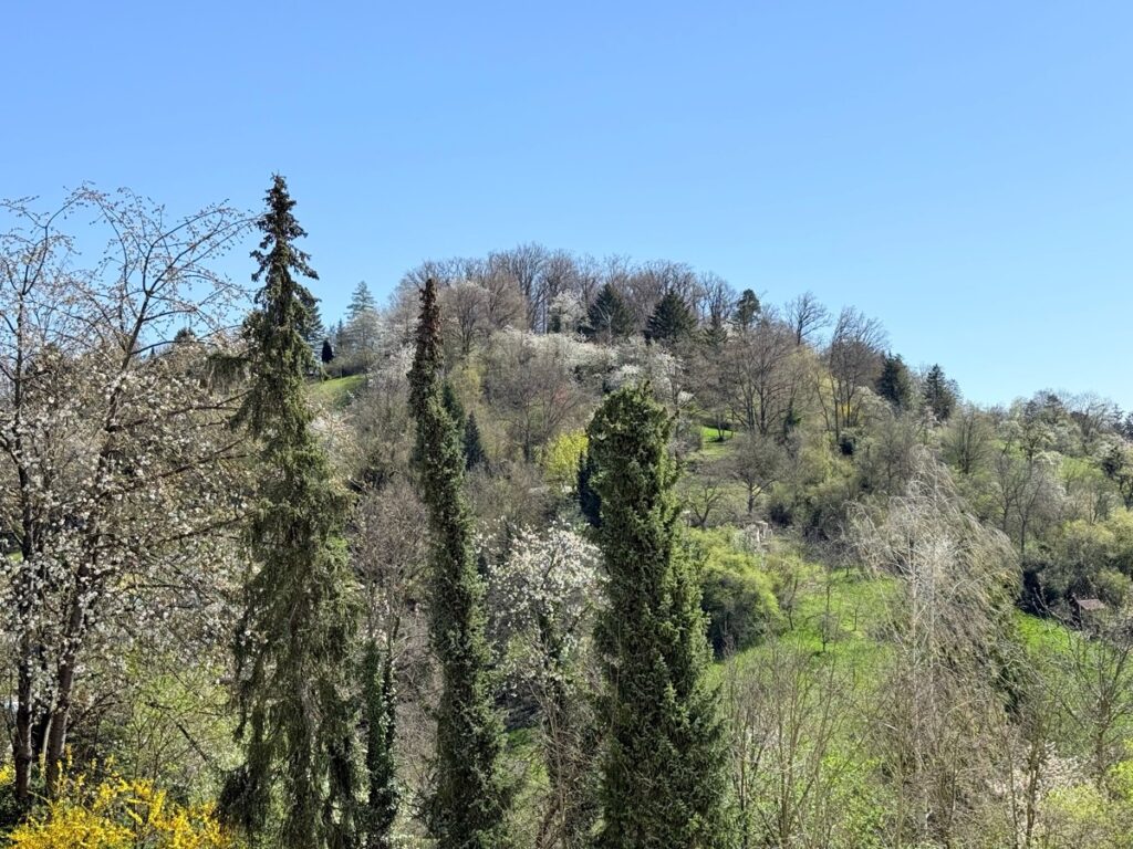 Ausblick