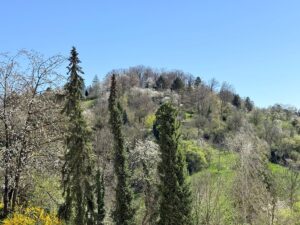 Ausblick