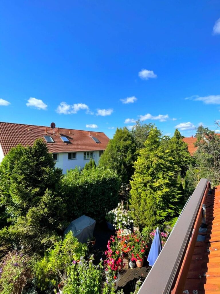 Ausblick auf die Terrasse