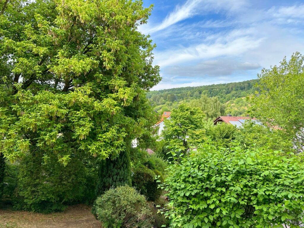 Aussicht