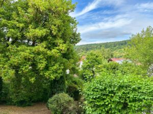 Aussicht