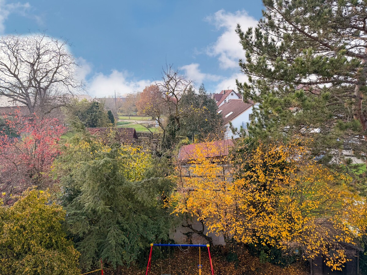 DG Ausblick