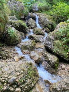 Aufstieg Hochgrat-Brunnenauscharte