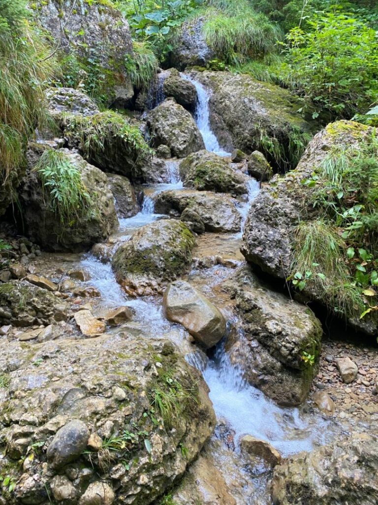 Aufstieg Hochgrat-Brunnenauscharte
