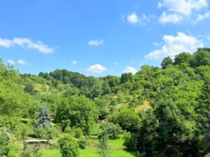 Blick in die Natur hinter dem Haus
