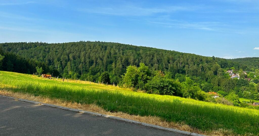 Umgebung