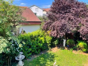 Ausblick in den Garten