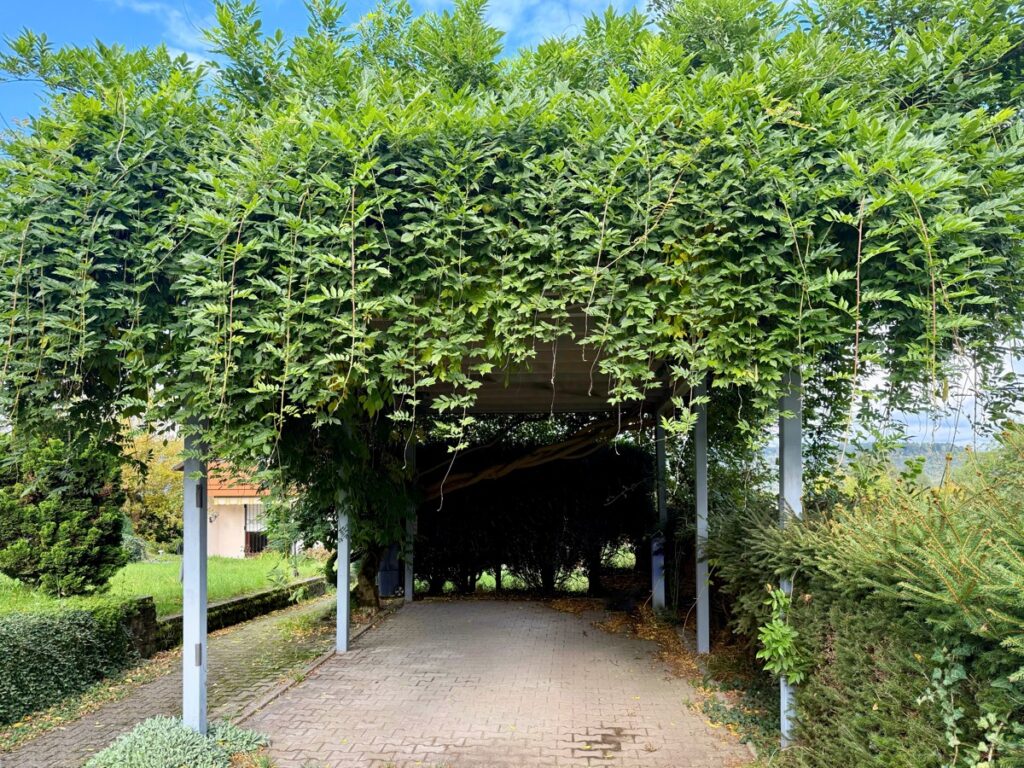 Übergroßer Stellplatz