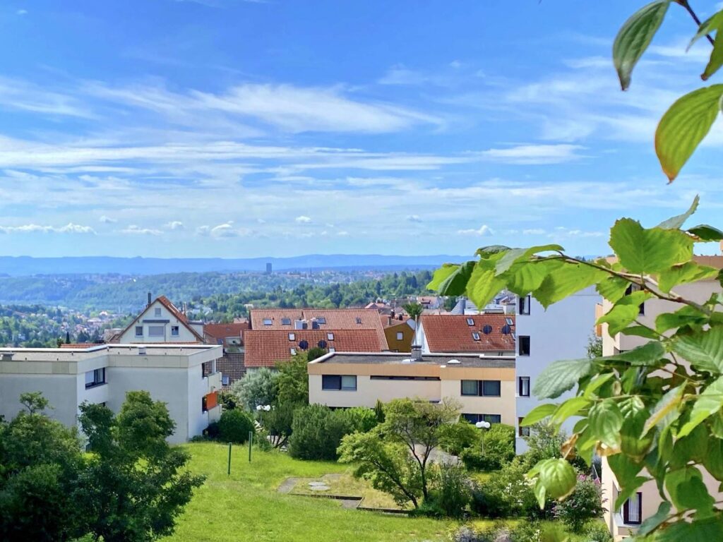 Ausblick