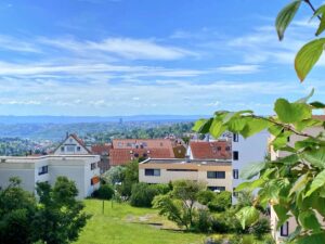 Ausblick