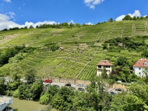 Ausblick vom Balkon