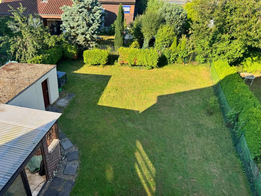 Blick in den Garten
