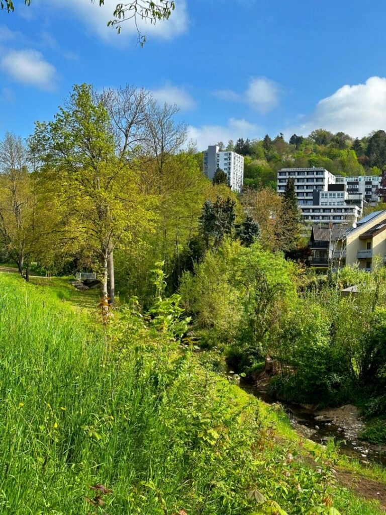 Aussicht