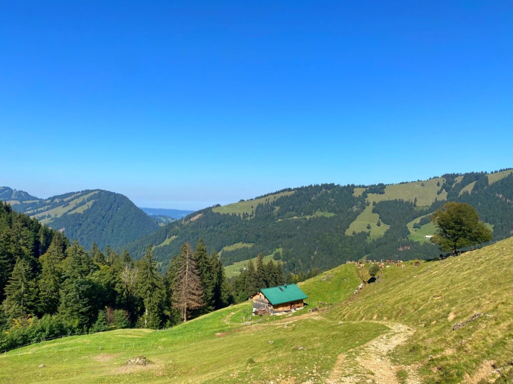 Aufstieg zum Hochgrat