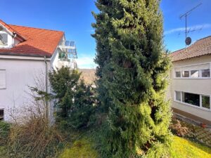 Aussicht