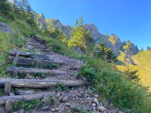 Aufstieg mit Blick Hochgrat
