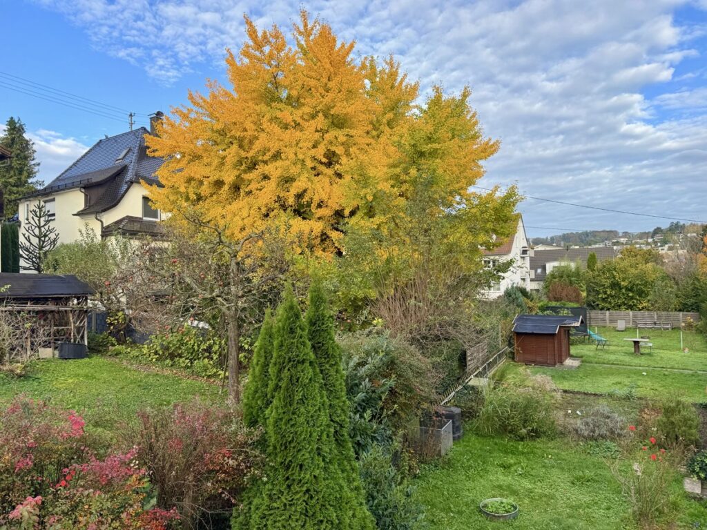 Ausblick