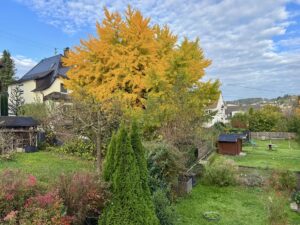 Ausblick