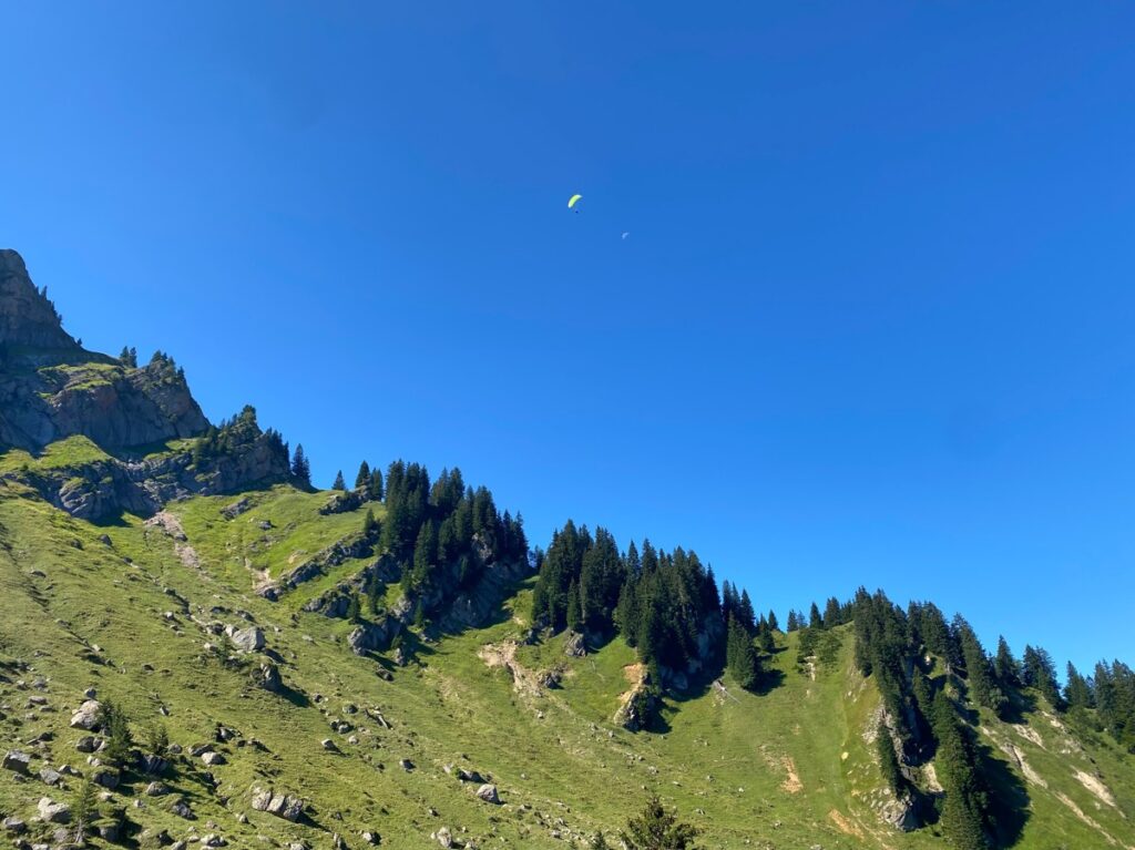 Blick Richtung Hochgrat