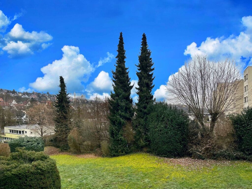 Ausblick